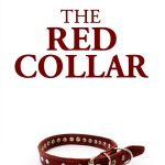 30-Minute Craft Animal Care Short Story eBook Amazon Digital-0