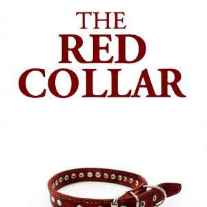 30-Minute Craft Animal Care Short Story eBook Amazon Digital-0