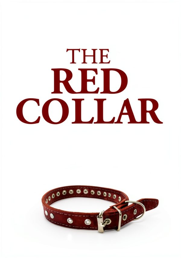 30-Minute Craft Animal Care Short Story eBook Amazon Digital-0